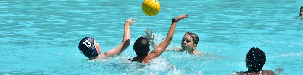Water Polo Cropped Banner 2
